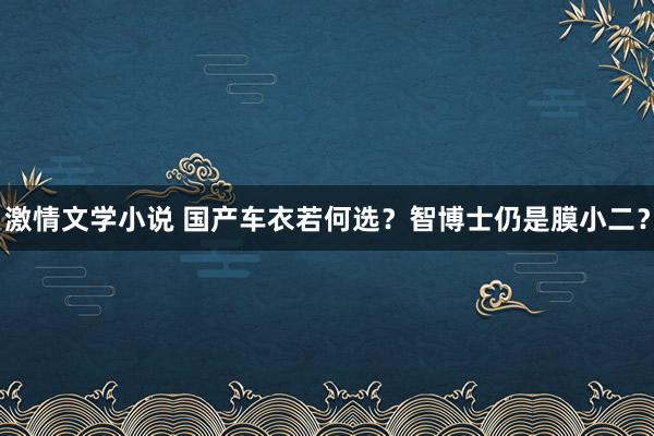 激情文学小说 国产车衣若何选？智博士仍是膜小二？