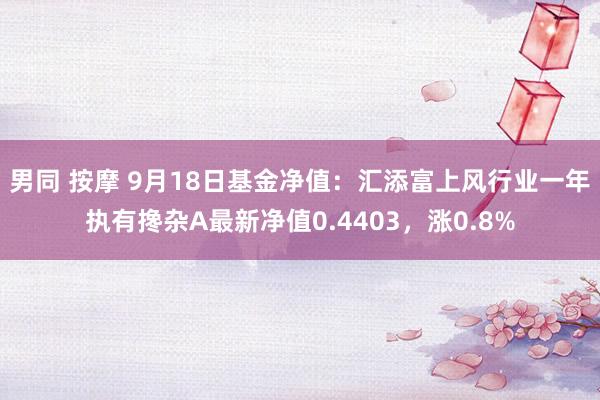 男同 按摩 9月18日基金净值：汇添富上风行业一年执有搀杂A