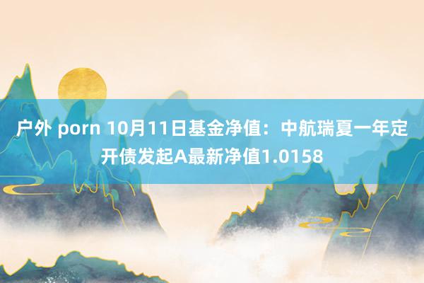 户外 porn 10月11日基金净值：中航瑞夏一年定开债发起A最新净值1.0158