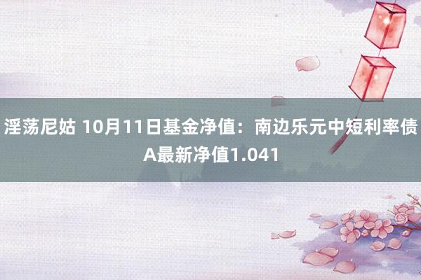 淫荡尼姑 10月11日基金净值：南边乐元中短利率债A最新净值1.041