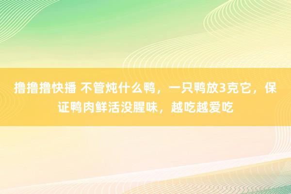 撸撸撸快播 不管炖什么鸭，一只鸭放3克它，保证鸭肉鲜活没腥味，越吃越爱吃