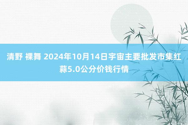 清野 裸舞 2024年10月14日宇宙主要批发市集红蒜5.0公分价钱行情