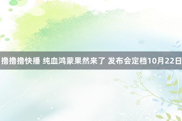 撸撸撸快播 纯血鸿蒙果然来了 发布会定档10月22日