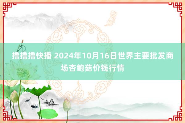 撸撸撸快播 2024年10月16日世界主要批发商场杏鲍菇价钱行情