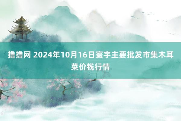 撸撸网 2024年10月16日寰宇主要批发市集木耳菜价钱行情