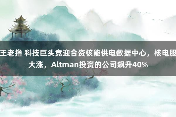 王老撸 科技巨头竞迎合资核能供电数据中心，核电股大涨，Altman投资的公司飙升40%