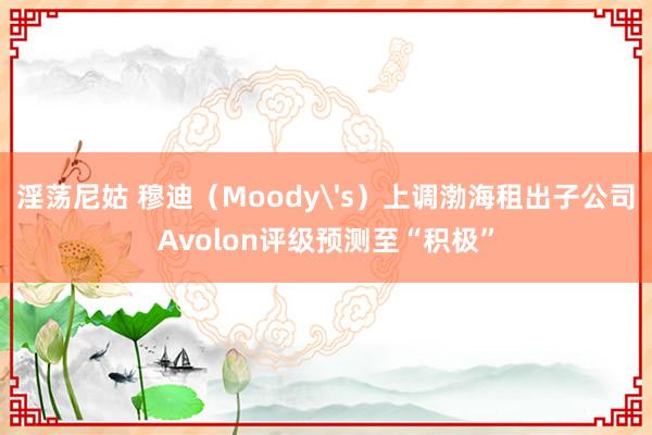 淫荡尼姑 穆迪（Moody's）上调渤海租出子公司Avolon评级预测至“积极”