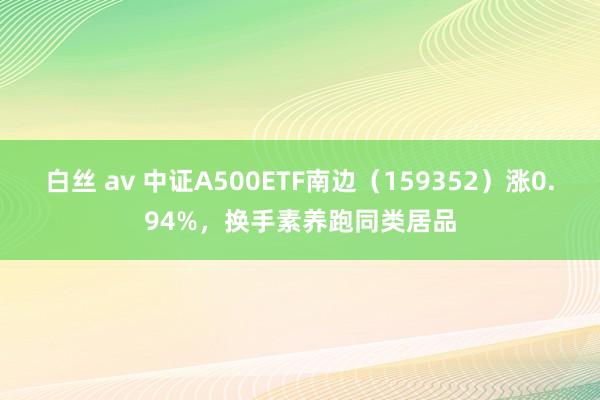 白丝 av 中证A500ETF南边（159352）涨0.94%，换手素养跑同类居品