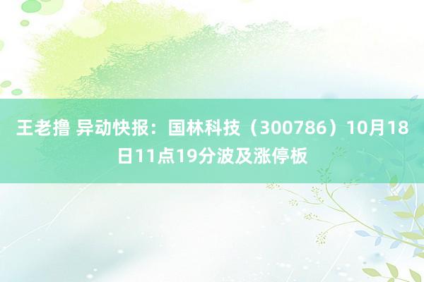 王老撸 异动快报：国林科技（300786）10月18日11点19分波及涨停板