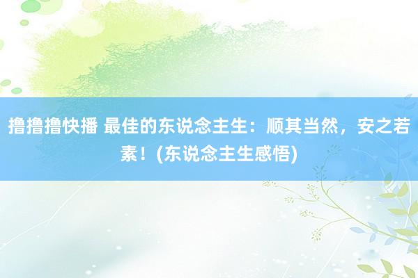 撸撸撸快播 最佳的东说念主生：顺其当然，安之若素！(东说念主生感悟)