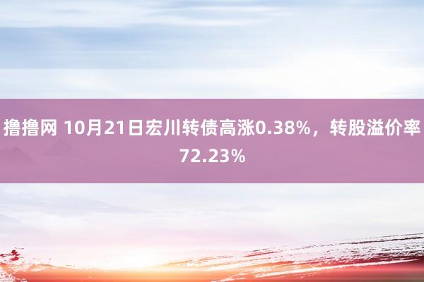 撸撸网 10月21日宏川转债高涨0.38%，转股溢价率72.23%