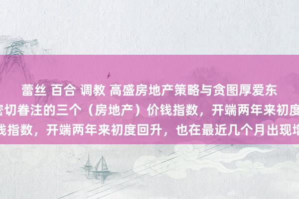 蕾丝 百合 调教 高盛房地产策略与贪图厚爱东谈主里奇·希尔：咱们密切眷注的三个（房地产）价钱指数，开端两年来初度回升，也在最近几个月出现增长