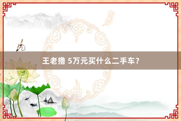 王老撸 5万元买什么二手车？