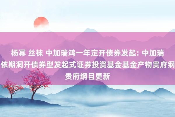 杨幂 丝袜 中加瑞鸿一年定开债券发起: 中加瑞鸿一年依期洞开债券型发起式证券投资基金基金产物贵府纲目更新