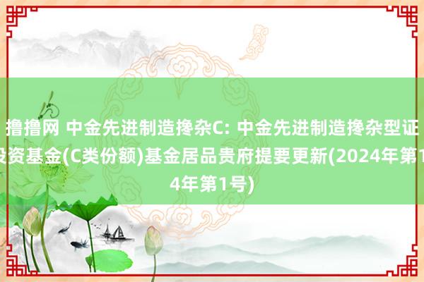 撸撸网 中金先进制造搀杂C: 中金先进制造搀杂型证券投资基金(C类份额)基金居品贵府提要更新(2024年第1号)