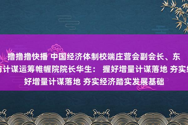 撸撸撸快播 中国经济体制校端庄营会副会长、东南大学国度发展与计谋运筹帷幄院院长华生： 握好增量计谋落地 夯实经济踏实发展基础