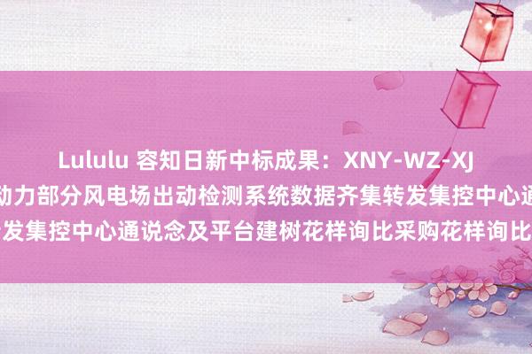 Lululu 容知日新中标成果：XNY-WZ-XJ-202410112山西公司新动力部分风电场出动检测系统数据齐集转发集控中心通说念及平台建树花样询比采购花样询比采购采购成果公告