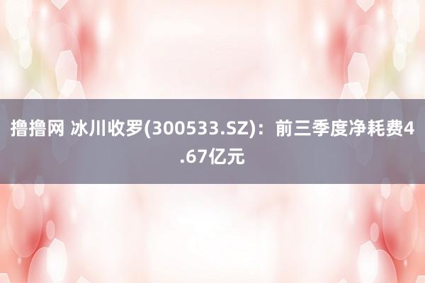 撸撸网 冰川收罗(300533.SZ)：前三季度净耗费4.67亿元