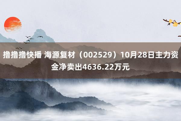 撸撸撸快播 海源复材（002529）10月28日主力资金净卖出4636.22万元