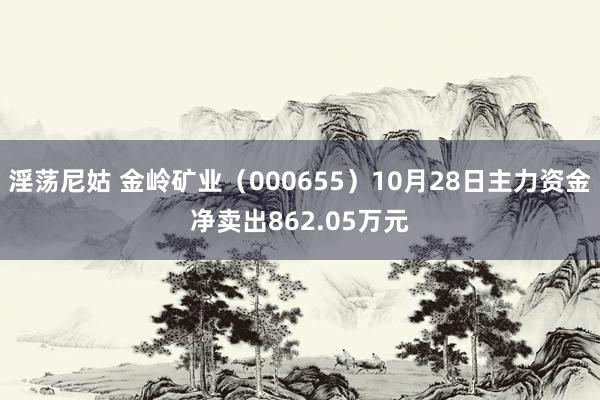 淫荡尼姑 金岭矿业（000655）10月28日主力资金净卖出862.05万元