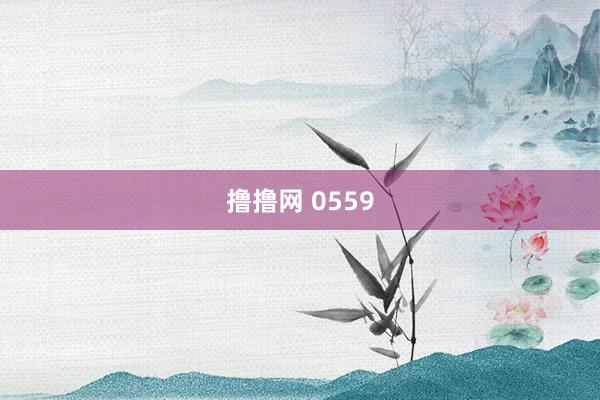 撸撸网 0559