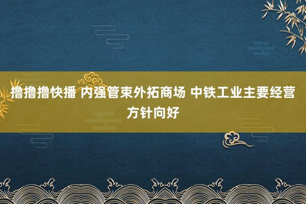 撸撸撸快播 内强管束外拓商场 中铁工业主要经营方针向好