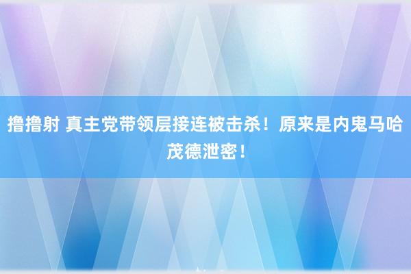 撸撸射 真主党带领层接连被击杀！原来是内鬼马哈茂德泄密！