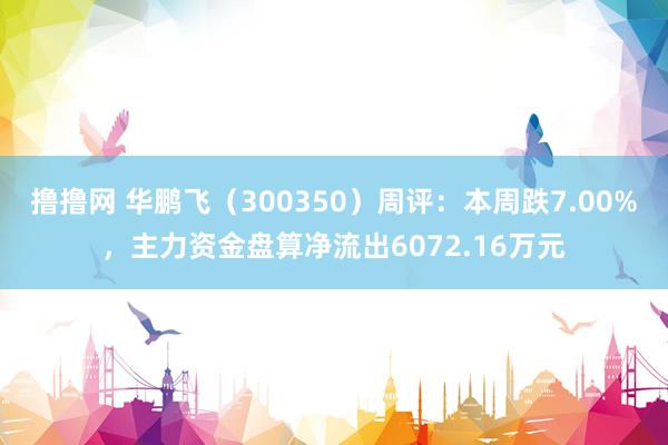 撸撸网 华鹏飞（300350）周评：本周跌7.00%，主力资金盘算净流出6072.16万元