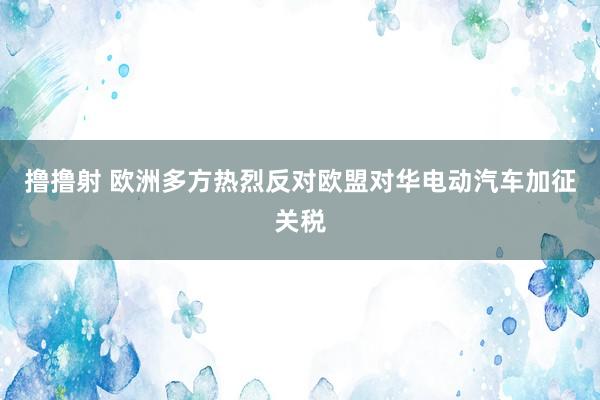 撸撸射 欧洲多方热烈反对欧盟对华电动汽车加征关税