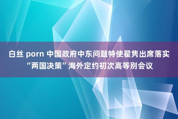 白丝 porn 中国政府中东问题特使翟隽出席落实“两国决策”海外定约初次高等别会议