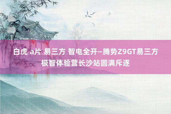 白虎 a片 易三方 智电全开—腾势Z9GT易三方极智体验营长沙站圆满斥逐