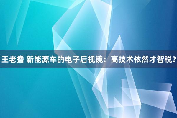 王老撸 新能源车的电子后视镜：高技术依然才智税？