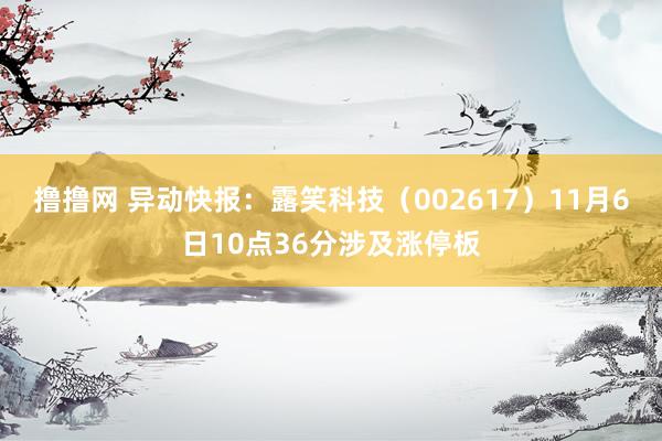 撸撸网 异动快报：露笑科技（002617）11月6日10点36分涉及涨停板