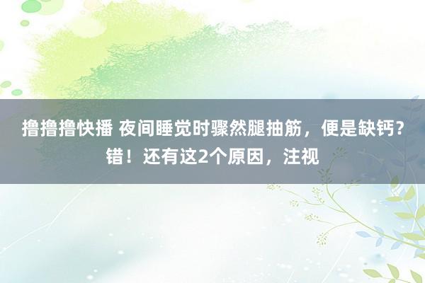 撸撸撸快播 夜间睡觉时骤然腿抽筋，便是缺钙？错！还有这2个原因，注视