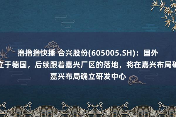 撸撸撸快播 合兴股份(605005.SH)：国外研发中心确立