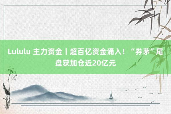 Lululu 主力资金丨超百亿资金涌入！“券茅”尾盘获加仓近