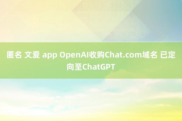 匿名 文爱 app OpenAI收购Chat.com域名 已