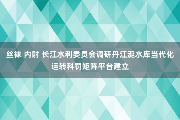 丝袜 内射 长江水利委员会调研丹江涎水库当代化运转科罚矩阵平