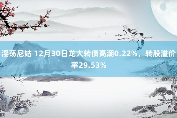 淫荡尼姑 12月30日龙大转债高潮0.22%，转股溢价率29.53%