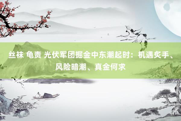 丝袜 龟责 光伏军团掘金中东潮起时：机遇炙手、风险暗潮、真金何求