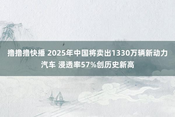 撸撸撸快播 2025年中国将卖出1330万辆新动力汽车 浸透率57%创历史新高