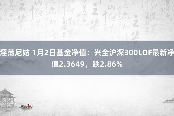 淫荡尼姑 1月2日基金净值：兴全沪深300LOF最新净值2.3649，跌2.86%