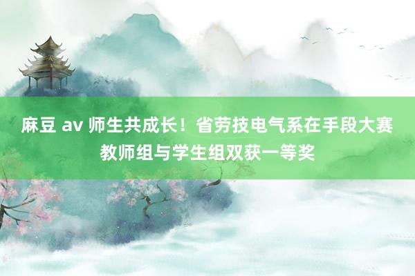 麻豆 av 师生共成长！省劳技电气系在手段大赛教师组与学生组双获一等奖