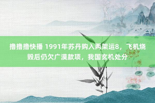 撸撸撸快播 1991年苏丹购入两架运8，飞机烧毁后仍欠广漠款项，我国玄机处分