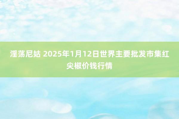 淫荡尼姑 2025年1月12日世界主要批发市集红尖椒价钱行情