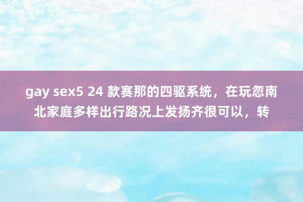 gay sex5 24 款赛那的四驱系统，在玩忽南北家庭多样出行路况上发扬齐很可以，转