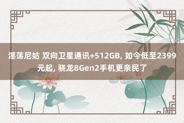 淫荡尼姑 双向卫星通讯+512GB， 如今低至2399元起， 骁龙8Gen2手机更亲民了