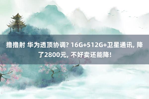 撸撸射 华为透顶协调? 16G+512G+卫星通讯， 降了2800元， 不好卖还能降!