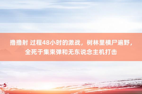 撸撸射 过程48小时的激战，树林里横尸遍野，全死于集束弹和无东说念主机打击