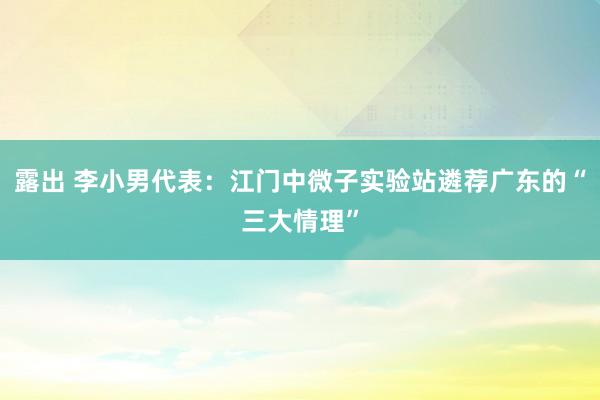 露出 李小男代表：江门中微子实验站遴荐广东的“三大情理”